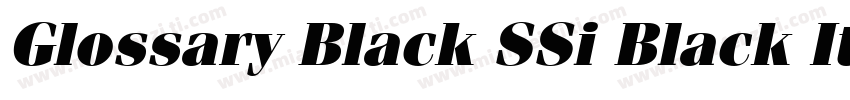 Glossary Black SSi Black Italic字体转换